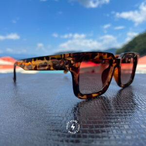 Itamambuca – Tartaruga / Lente Marrom